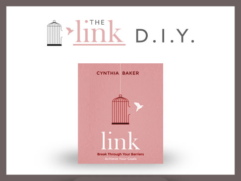 The Link Program - DIY Online Coaching Course